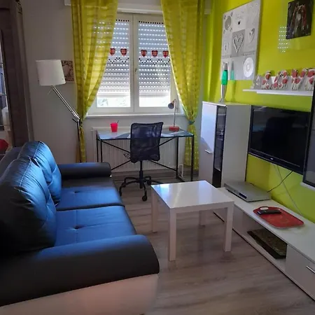 Daire Au Coeur D'alsace Colmar