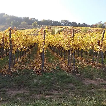 Au Coeur D'alsace Colmar