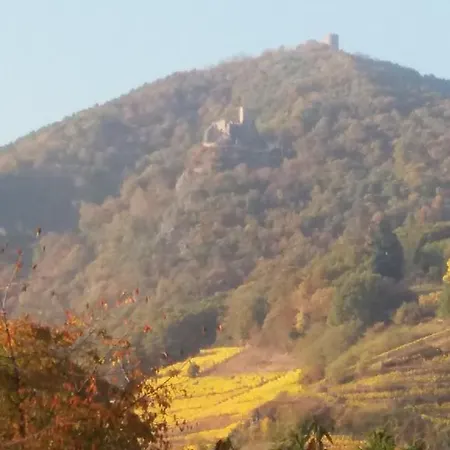 Au Coeur D'alsace