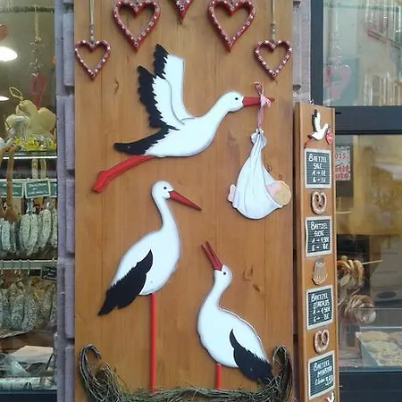 Daire Au Coeur D'alsace *