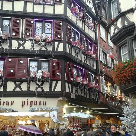 Daire Au Coeur D'alsace