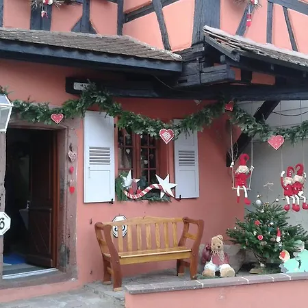 Daire Au Coeur D'alsace *