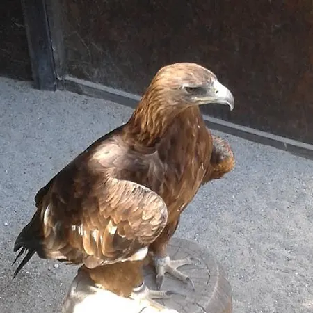 Au Coeur D'alsace Daire Colmar