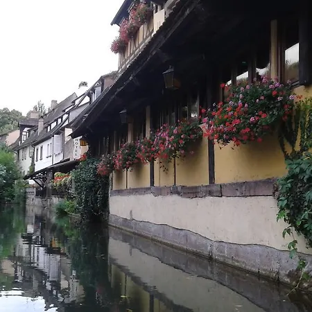 Daire Au Coeur D'alsace Colmar
