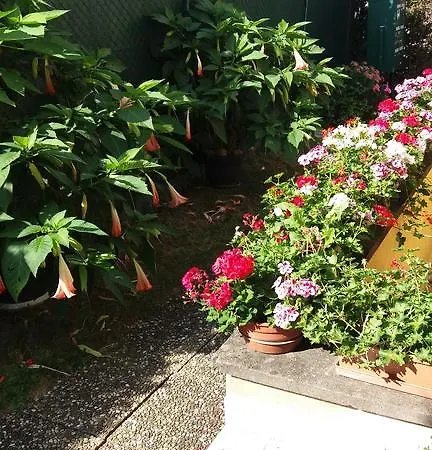 Au Coeur D'alsace Daire