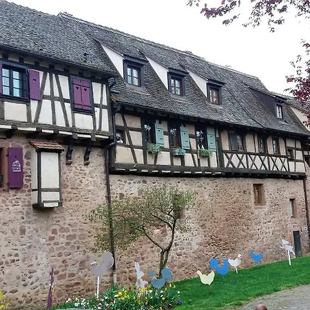 Daire Au Coeur D'alsace
