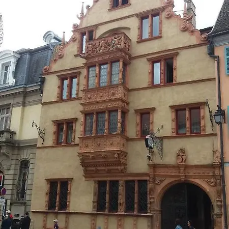 Daire Au Coeur D'alsace *