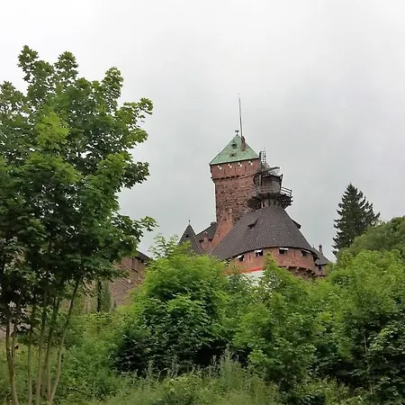 Daire Au Coeur D'alsace