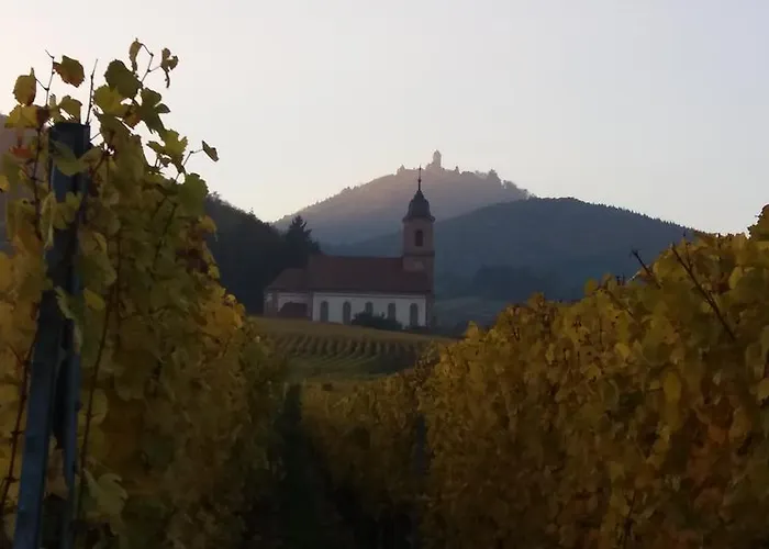 Διαμέρισμα Au Coeur D'alsace