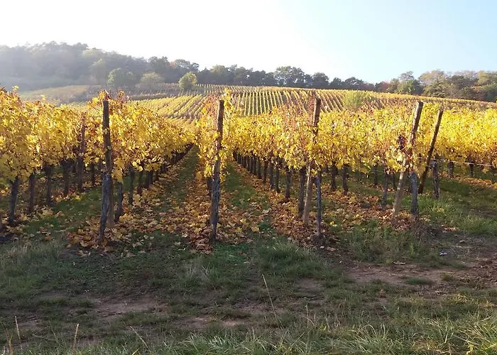 Au Coeur D'alsace Colmar