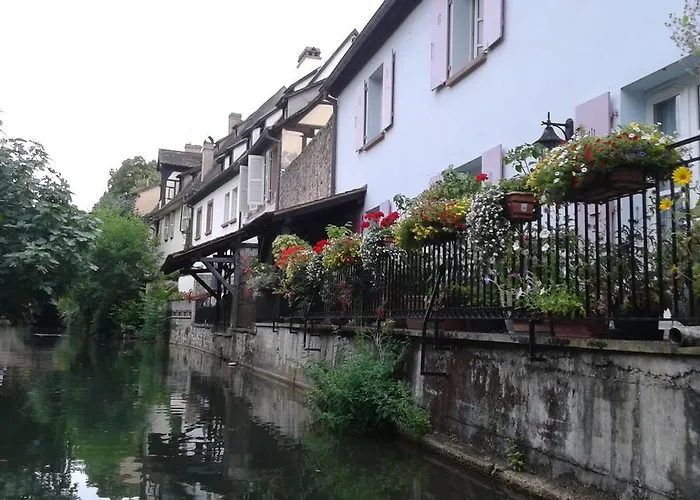 Au Coeur D'alsace Διαμέρισμα Κολμάρ