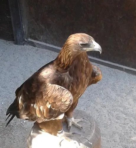 Au Coeur D'alsace Διαμέρισμα Κολμάρ