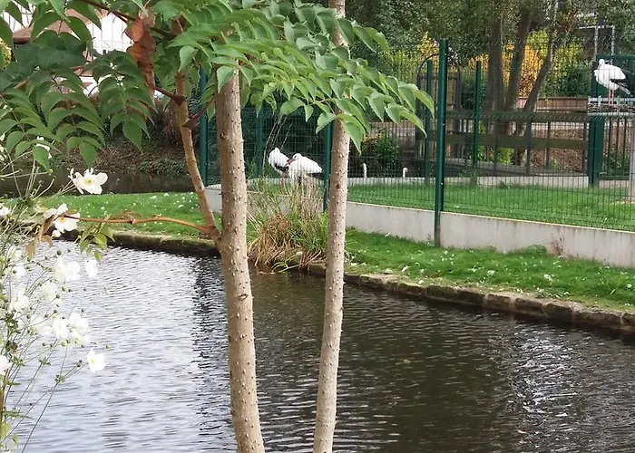 Au Coeur D'alsace * Colmar