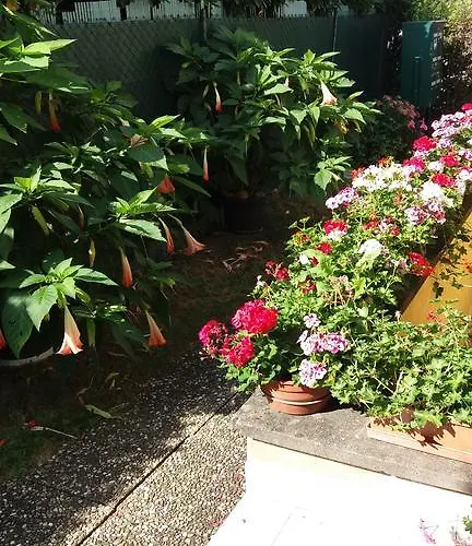 Au Coeur D'alsace Apartamento